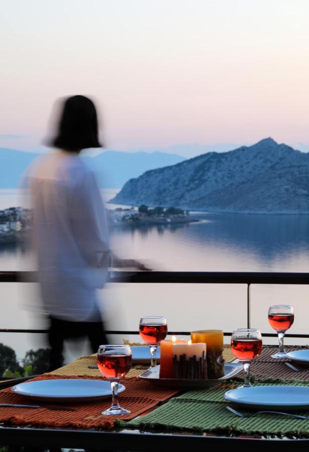 Eucalyptus Villa Aegina المظهر الخارجي الصورة