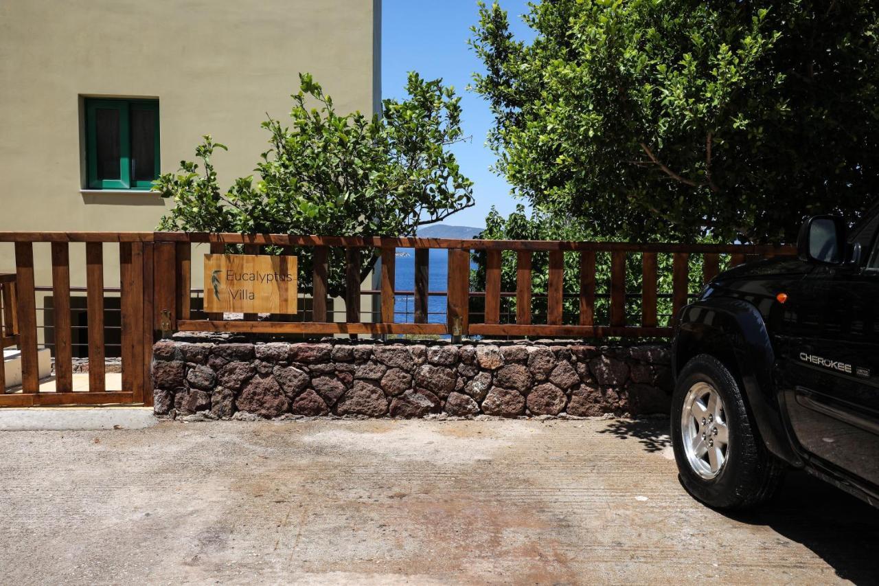 Eucalyptus Villa Aegina المظهر الخارجي الصورة