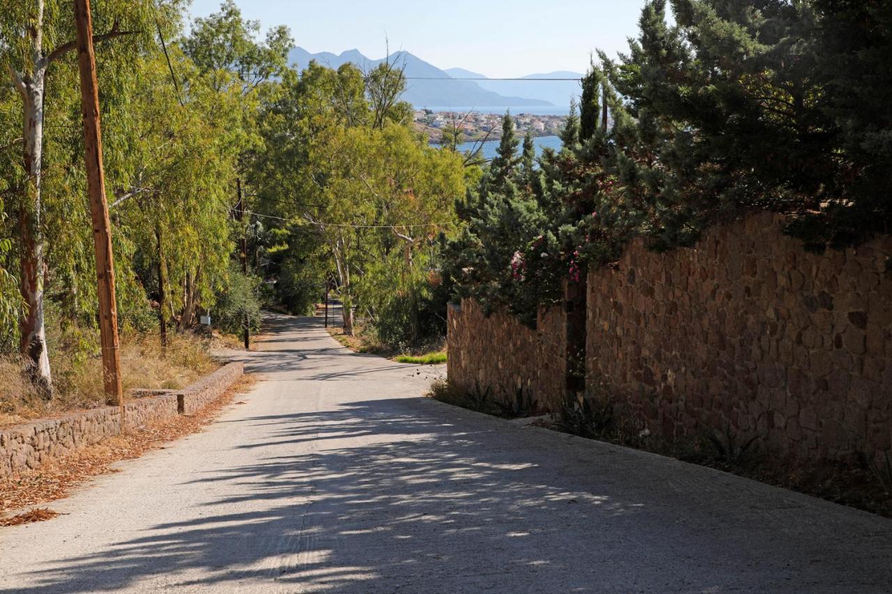 Eucalyptus Villa Aegina المظهر الخارجي الصورة